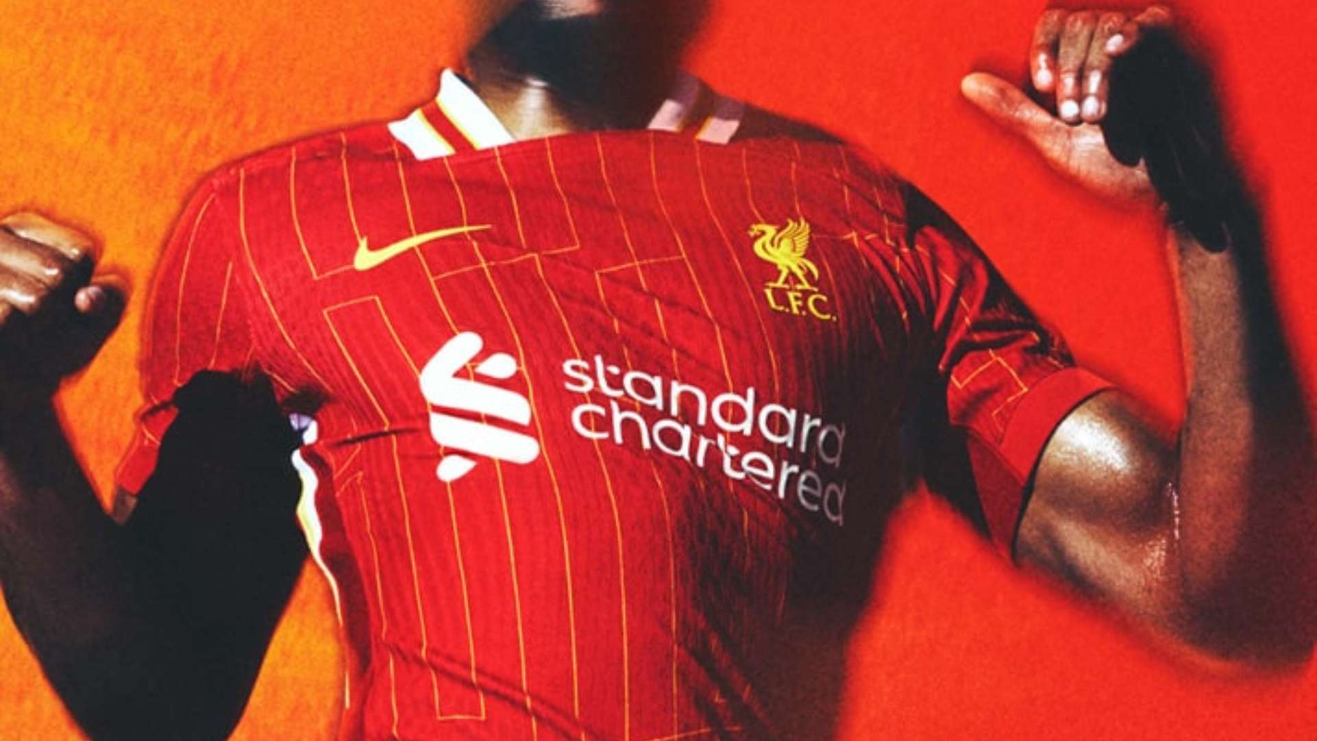 享的觀點來 享的觀點來